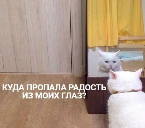 Куда пропала радость из моих глаз?