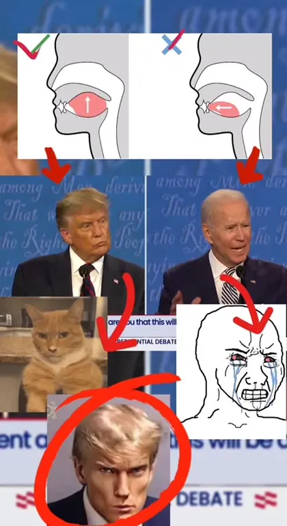 Trump Biden Debate Brainrot