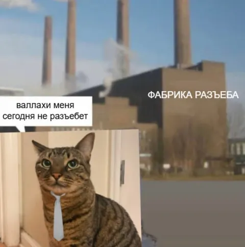 Фабрика разъёба сегодня