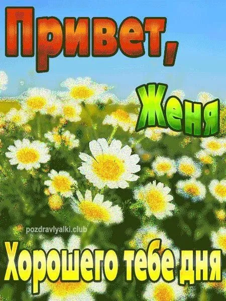 Привет, Женя, хорошего дня