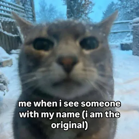 The Original Name Owner