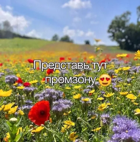 Представь тут промзону