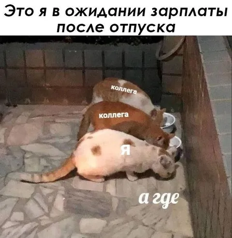 Ожидание зарплаты после отпуска