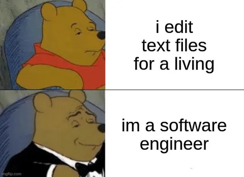 Winnie the Pooh Software Engineer