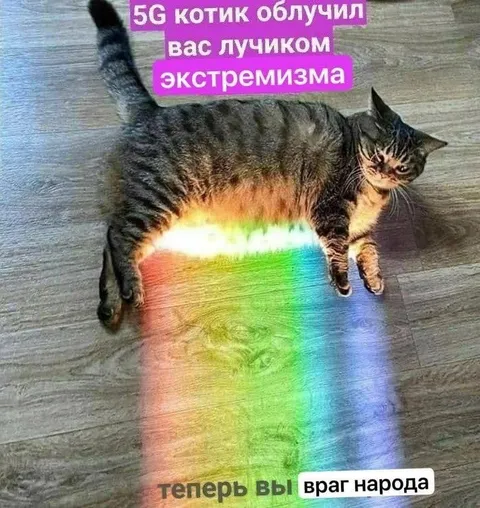 Котик облучил экстремизмом