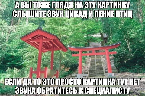 Слышите звук цикад и пение птиц
