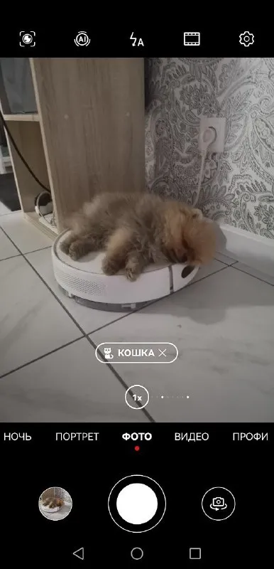 Умная камера видит кошку