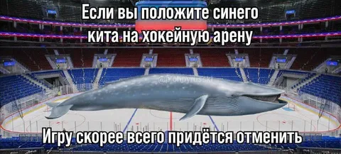 Синий кит на хоккейной арене
