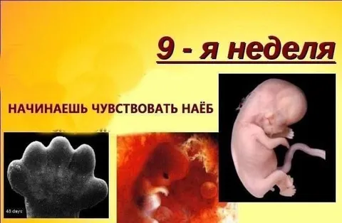 Наёб на девятой неделе
