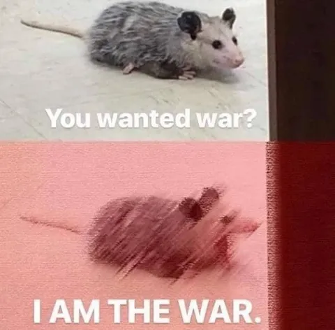 You Wanted War Mouse