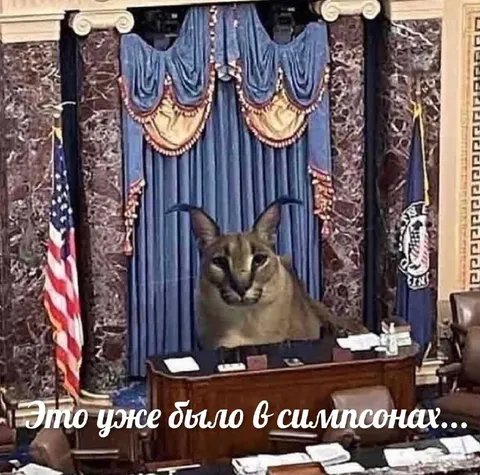 Кот уже был в Симпсонах