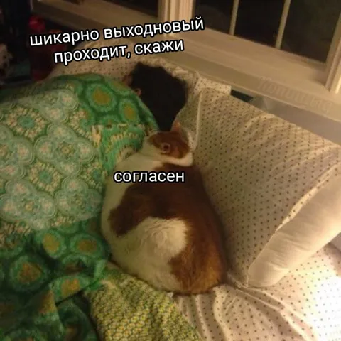 Шикарно выходновой проходит