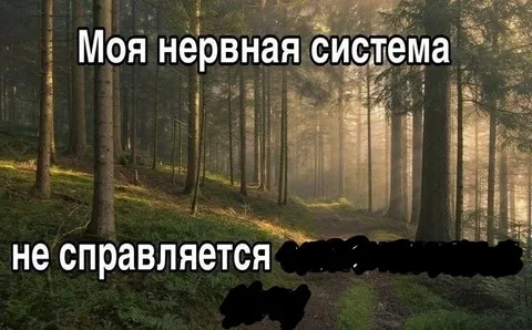 Нервная система не справляется