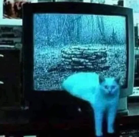 Кот выходит из телевизора