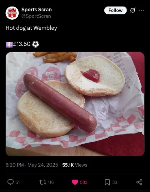 Hot Dog at Wembley