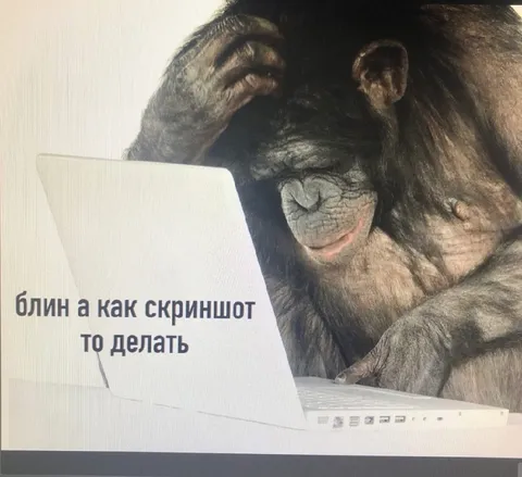 Обезьяна не умеет делать скриншот