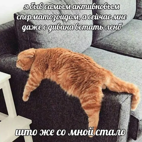 Бывший активный сперматозоид