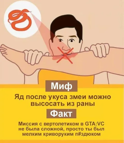 Миф и факт про змею и GTA