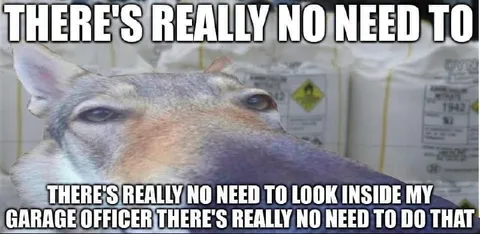There's Really No Need to Look Inside