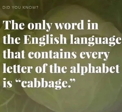Cabbage Contains Every Letter