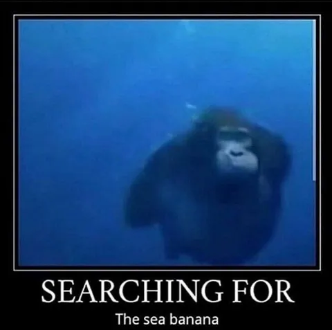 Searching for the Sea Banana