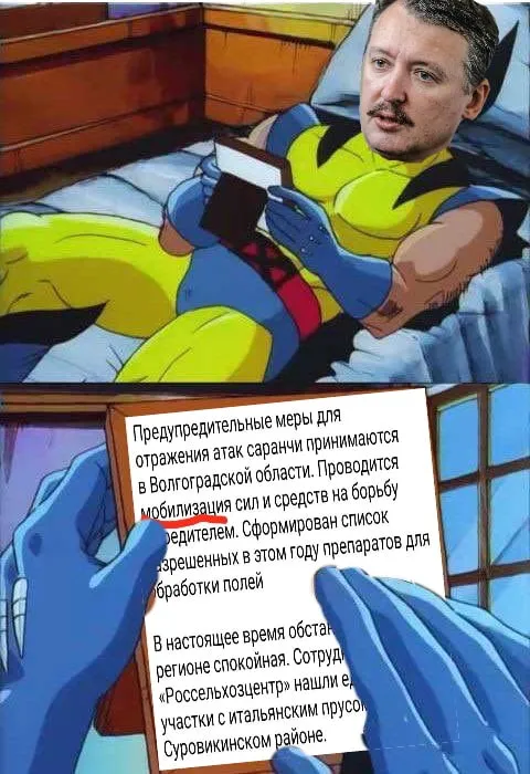 Стрелков читает про саранчу