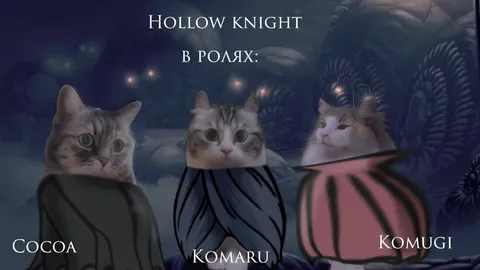 Коты в ролях Hollow Knight