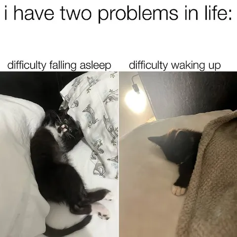 Two Problems in Life