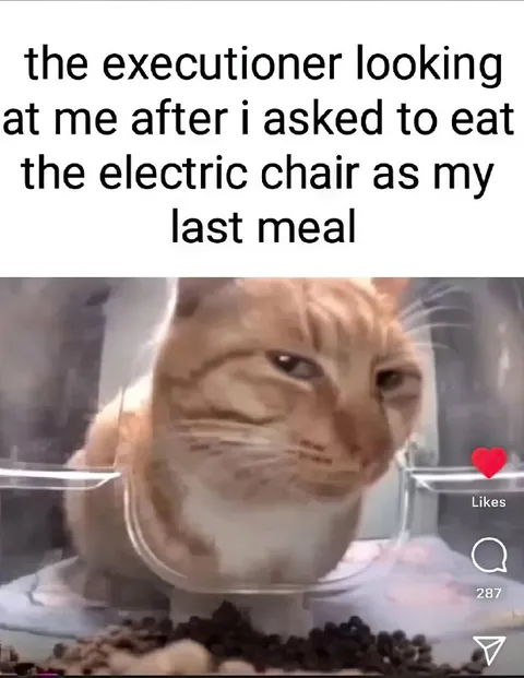 Cat Asked to Eat Electric Chair
