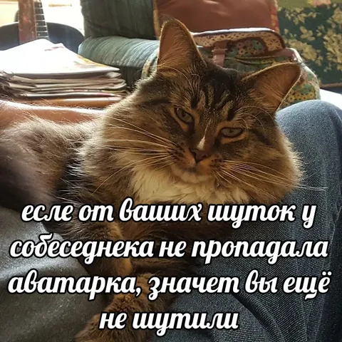 Шутки, после которых пропадает аватарка