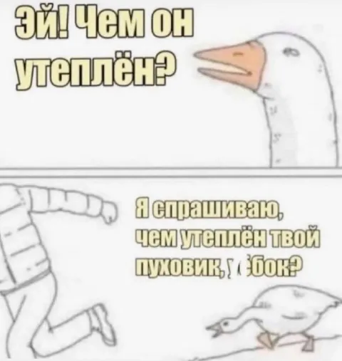 Чем утеплён твой пуховик