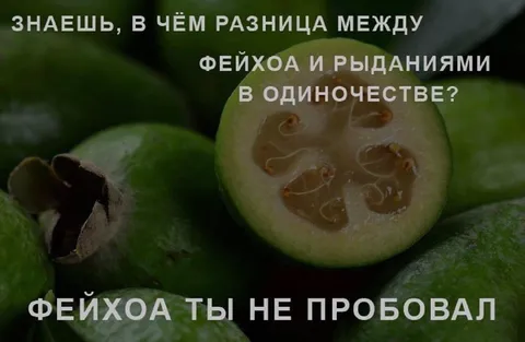 Фейхоа и рыдания в одиночестве