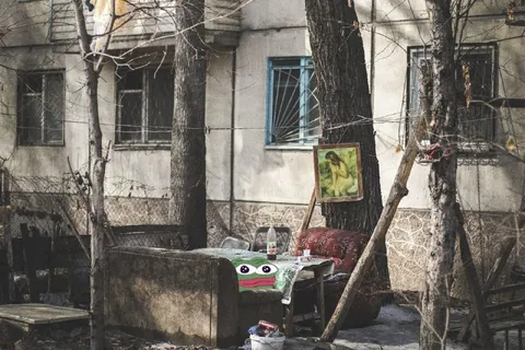 Пепе во дворе