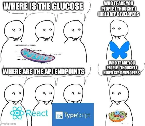 Where Are the API Endpoints?