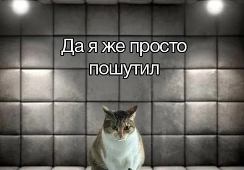 Да я же просто пошутил