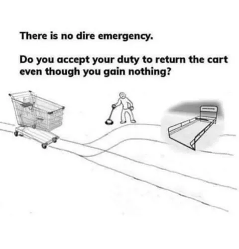 Shopping Cart Moral Emergency