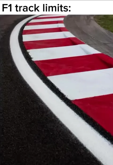 Rally Track Limits Have No Limits