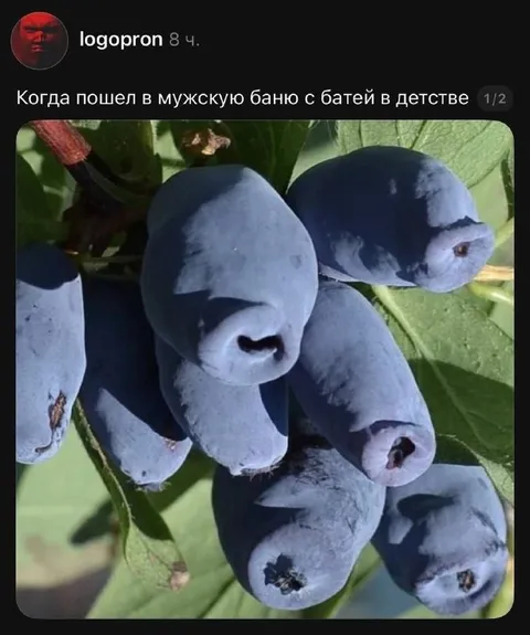 Мужская баня с батей