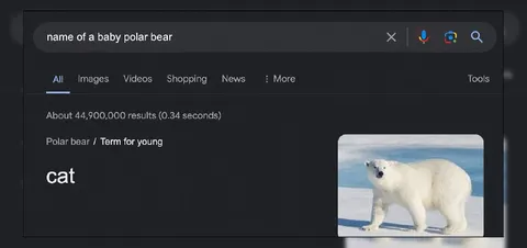 Baby Polar Bear Search Fail
