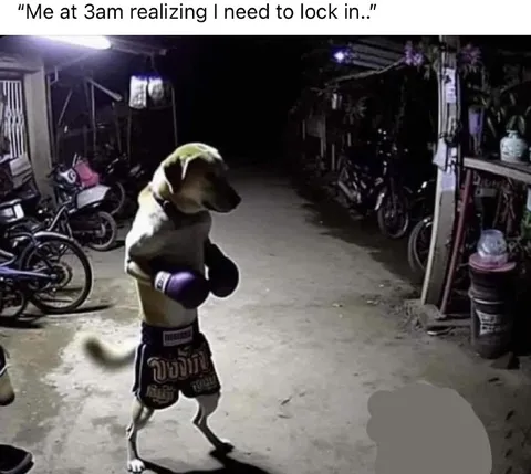 Dog Realizes He Must Lock In