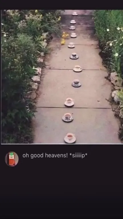 Tea Cups Lead to Disaster