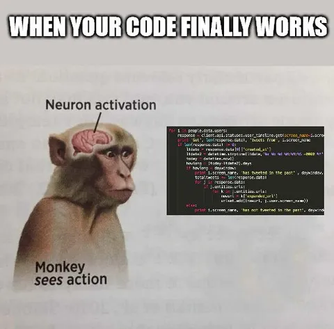 When Your Code Finally Works