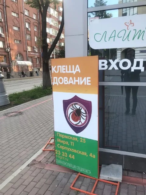 Клеща дование и слАСИМ