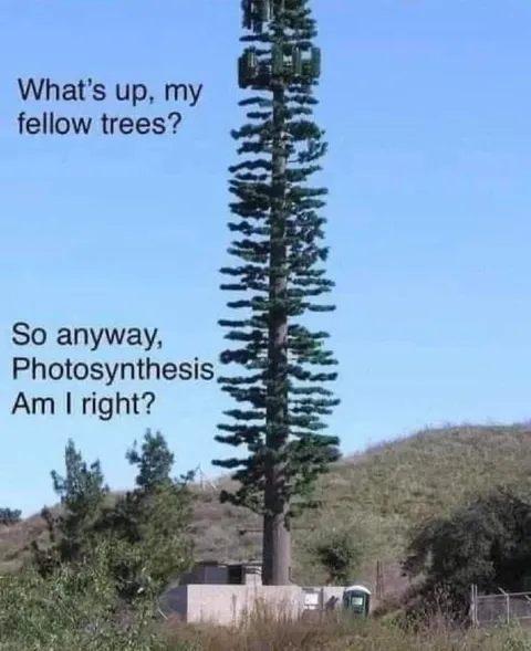 Tree Tries to Make Conversation