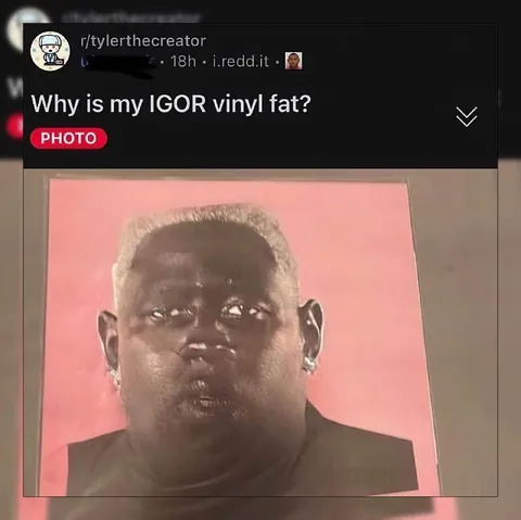 Why Is My IGOR Vinyl Fat?