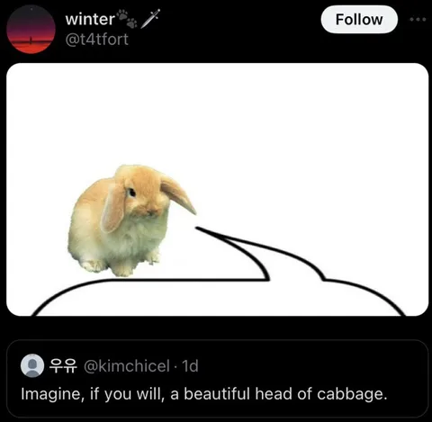 Rabbit Imagines Cabbage