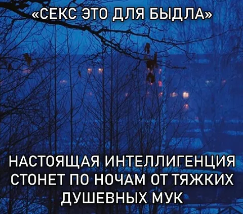 Настоящая интеллигенция по ночам