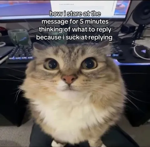 Cat Overthinking a Reply