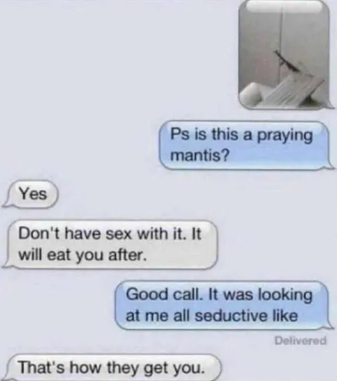 Praying Mantis Seduction Texts