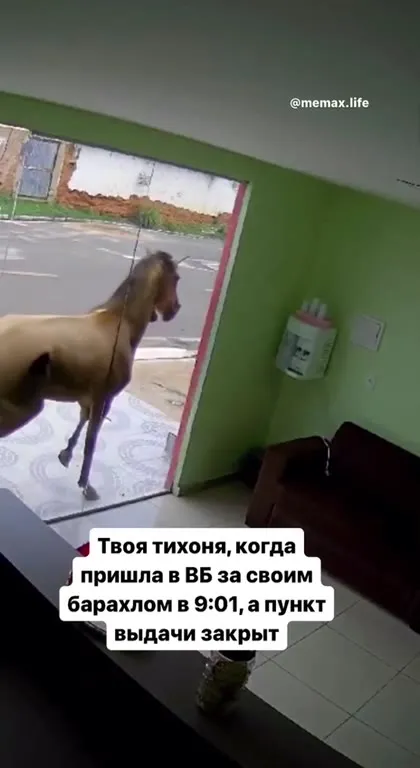 Тихоня пришла в пункт выдачи